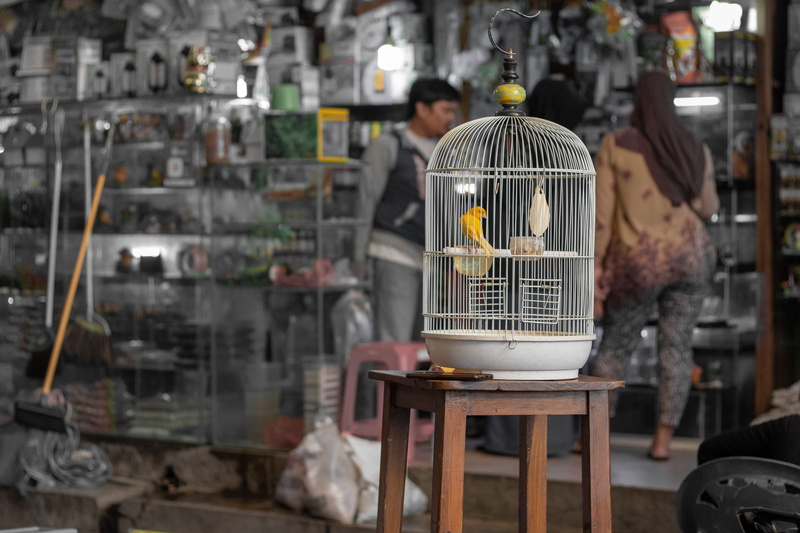 gunung sari, still life, day, bazaar, lighting equipment, birdcage, seat, business, electric lamp, close-up, surabaya, pasar ikan hias gunung sari, metal