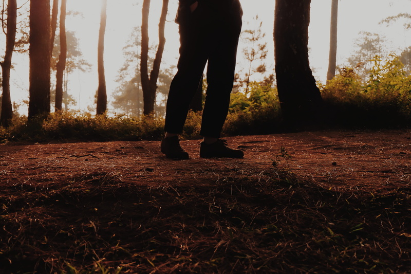 sunlight, human leg, flora, low section, forest, 4K, soil, one person, outdoors, brown, gunung putri, leisure activities, tree, trunk, nature, grass, day