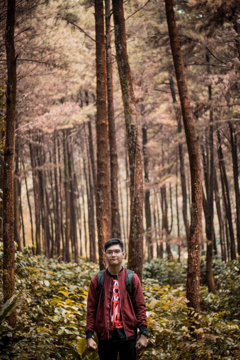 outdoors, land, plant, my self, trunk, front view, real people, bogor, forest, person, looking at camera, clothing, indonesia, lifestyles, portrait, trees