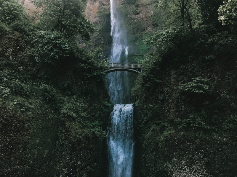 tropical Rainforest, dense, outdoors, waterfalls, mysterious, summer, falling, freshness, beauty In Nature, tree, famous Place, stream, fall, waterfall
