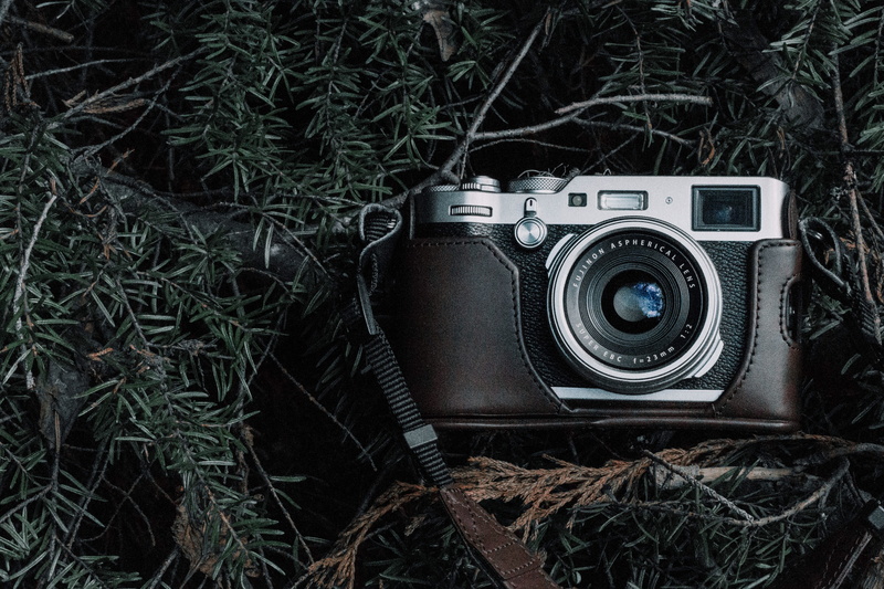 exploring, film camera, vintage, forest, photograph, 5K, pine, tree, no People, vinatge, black Color, camera gear, background, flatlay, antique, foliage