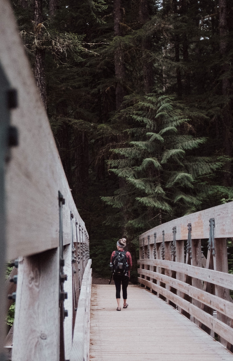 hiking, person, style, adult, wood, fashion, woodland, couple - Relationship, backpack, day, people, nature, bridge, brown, one Person, two People