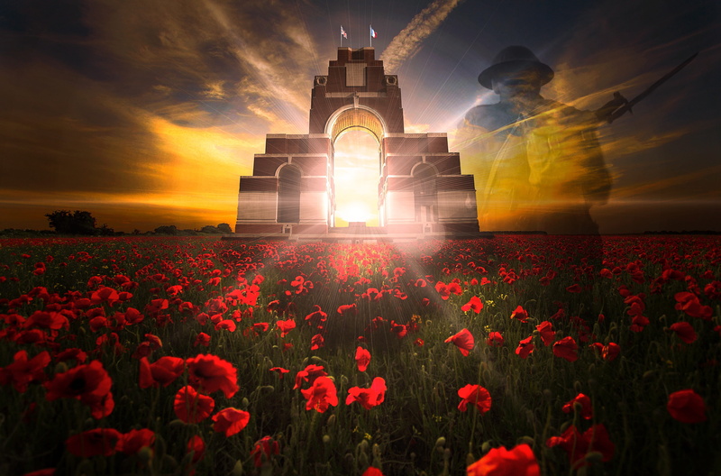 travel destinations, growth, memorial, freshness, remembrance sunday, poppy field, sunset, ghost, architecture, built structure, the fallen, orange color