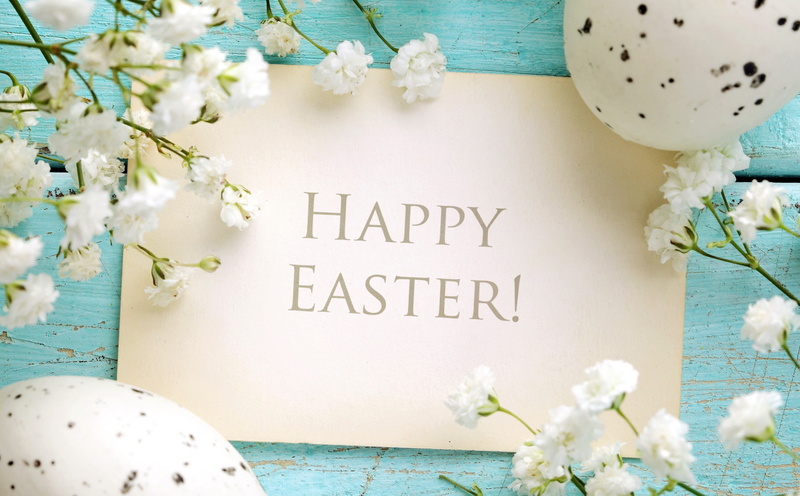 flower head, sign, communication, plant, freshness, no people, easter eggs, decoration, happy, vulnerability, 2014, flowering plant, western script, Holiday