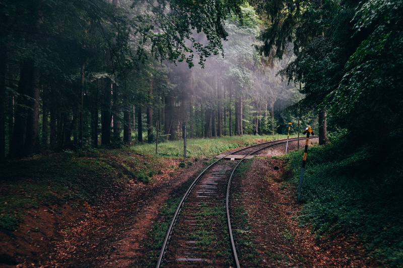fog, nature, transport, mist, railroad track, mode of transportation, sunday, beauty in nature, track, growth, tranquil scene, rail transportation, land