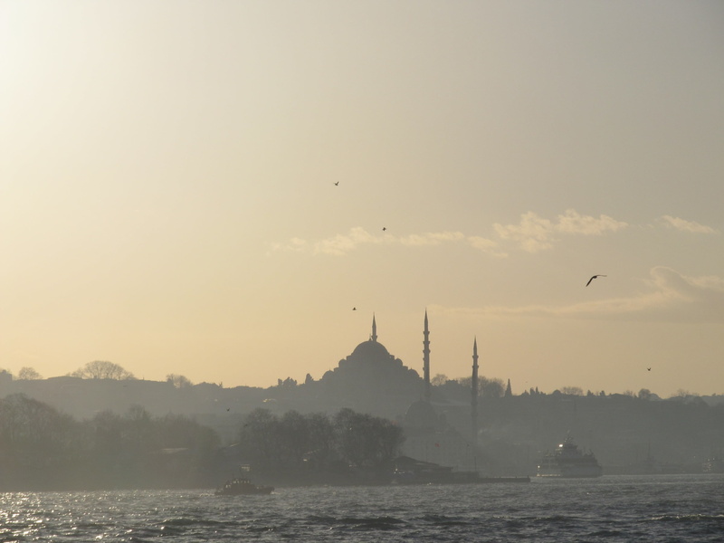 mosque, bird, ottoman Empire, animal, istanbul, marmara, water, animals in the wild, nature, flying, animal themes, belief, blue Mosque, sunset, turkey - Middle East