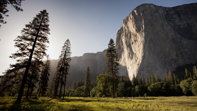 pine trees, 4K, rocks, mountains, landscape, El Capitan, nature, photography, ground, sky, grass
