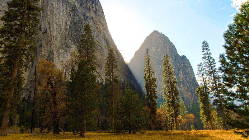 mountain, plant, tree, outdoors, landscape, pine tree, mountains, low angle view, growth, environment, tranquil scene, forest, 10.10, day, scenics - nature