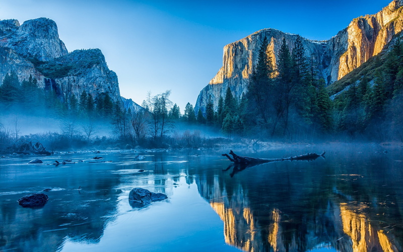 idyllic, no people, rock - object, solid, landscape, nature, water, pine tree, ice, rock, sky, outdoors, environment, beauty in nature, tranquil scene
