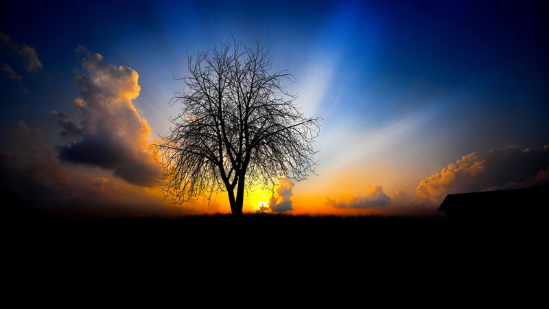 dark, morning, sunset, dusk, clouds, sea, cloud, outdoor, star, water, reflection, travel, tranquil scene, dawn, beauty in nature, tree, night, no people