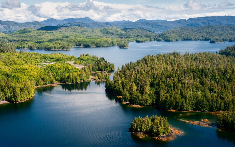 plant, island, lake, idyllic, aerial view, growth, day, non-urban scene, spring, trees, tranquil scene, scenics - nature, tree, water, outdoors, clouds