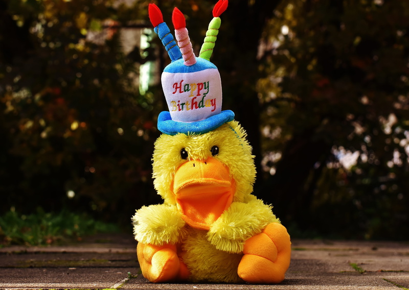 happy birthday, outdoors, luck, 5K, focus on foreground, multi colored, duckling, duck, greeting, hat, birthday wishes, yellow, human representation, close-up