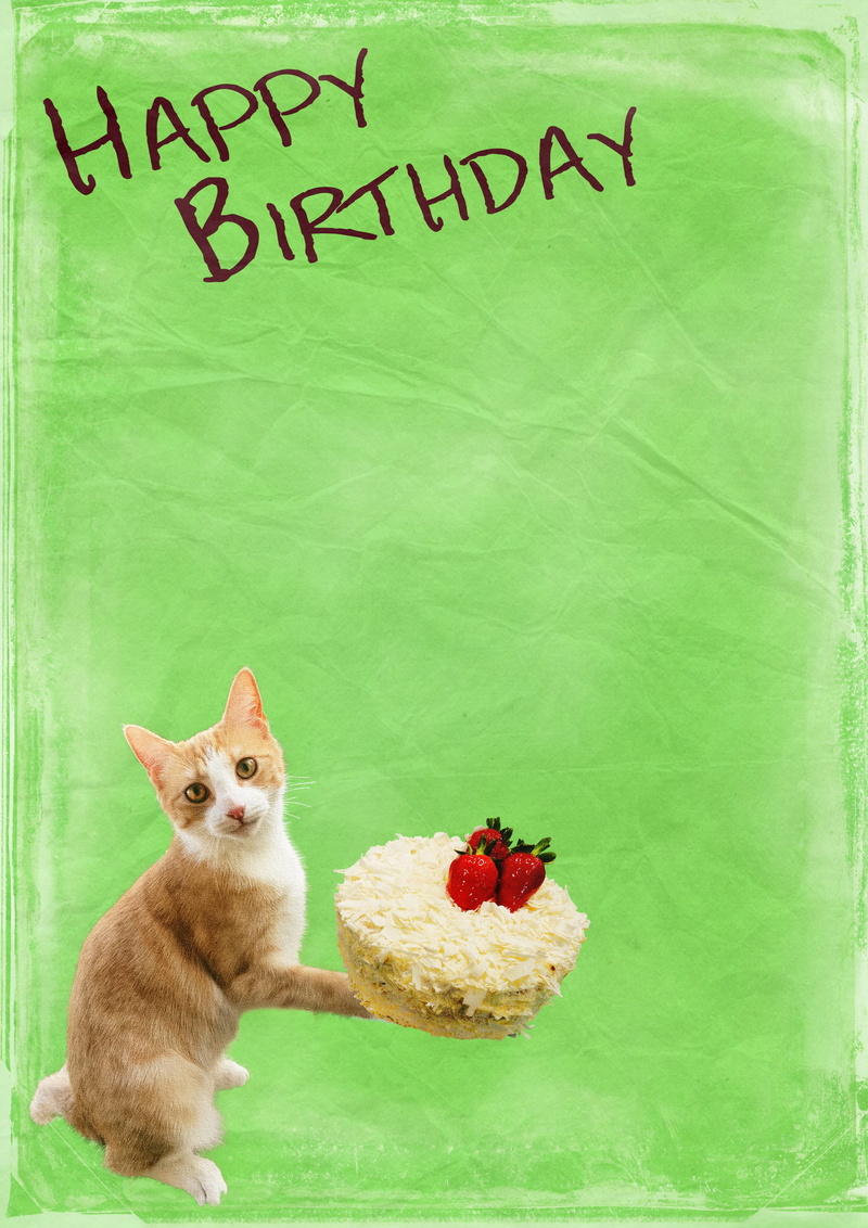 funny, close-up, green, pets, 2K, happy, cake, domestic, vintage, sweet, happy birthday, colorful, message, map, text, cat, graphic, playful, indoors