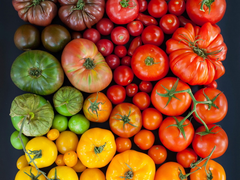 1080P, Tomatoes, Colored, Multi
