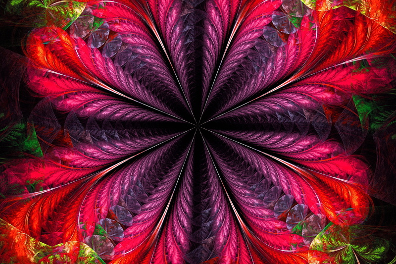 art, multi-colored, leaf, swirl, curve, color Image, red, kaleidoscope, growth, pattern, colors, vector, design, event, summer, decoration, textured Effect
