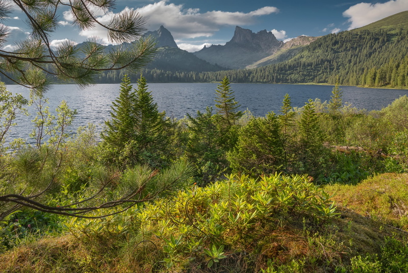 Victor Zaitsev, forest, branches, Ergaki, lake, lake Light, nature, reserve, Western Sayan, Krasnoyarsk Krai, Bank, trees, clouds, landscape, 1080P, mountains