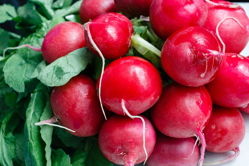 organic, raddish, abundance, green Color, food, ripe, ingredient, wellbeing, freshness, summer, backgrounds, agriculture, cherry, no people, salad, dieting