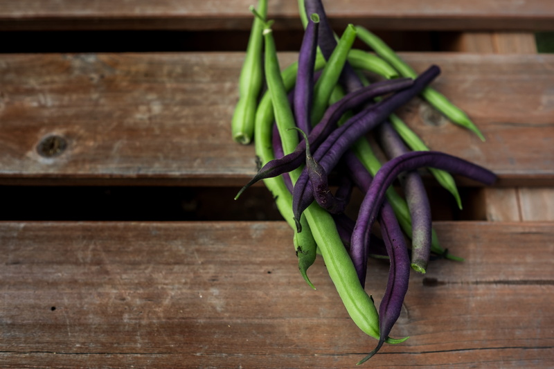 pea, focus on foreground, bell pepper, eggplant, produce, vegetable, soy, no people, high angle view, pumpkin, freshness, garlic, food, jelly, kitchen
