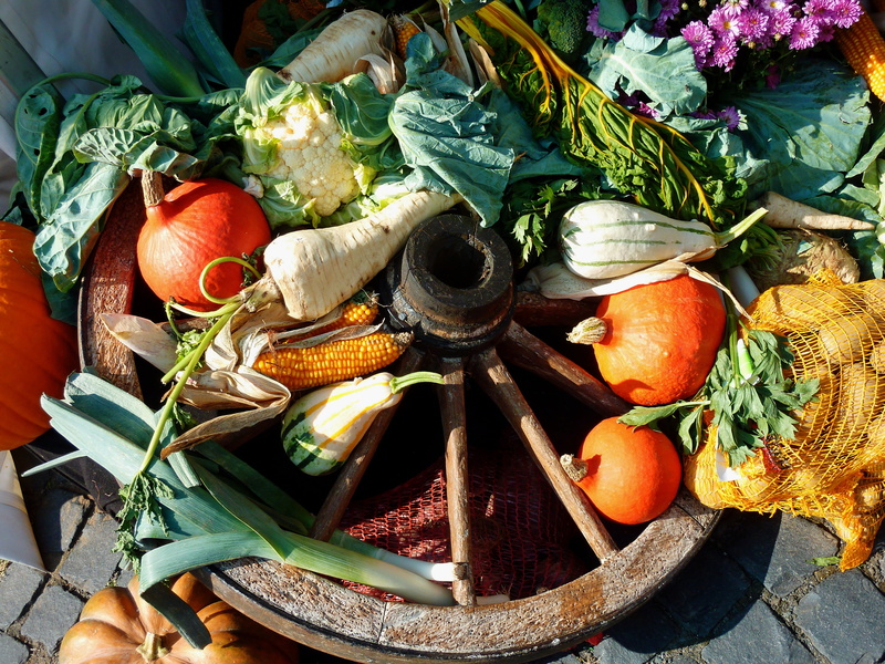 radishes, tomato, healthy, healthy eating, food and drink, public record, wellbeing, variety, day, 2K, purchasing, thanksgiving, orange, food, table, variation