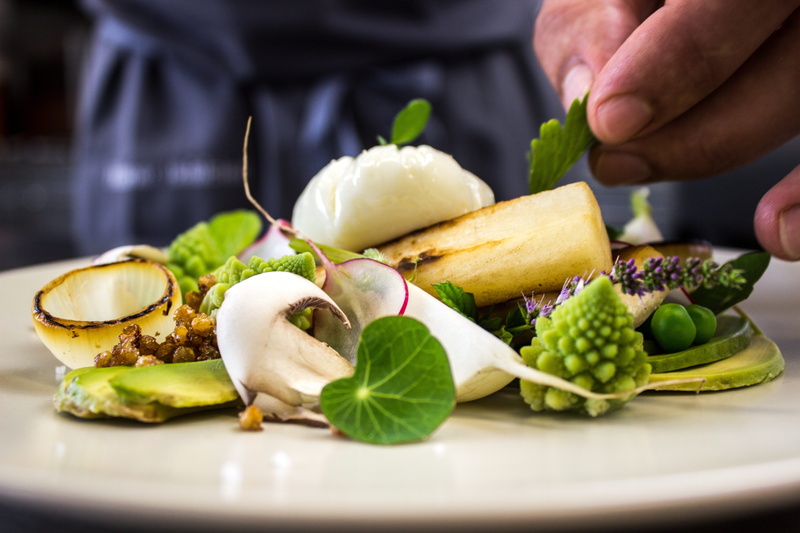 Eat, one person, eating, egg, freshness, Salad, close-up, meal, hand, 5K, ready-to-eat, tasty, wellbeing, benefit from, vegetable, dinner, wreak, indoors