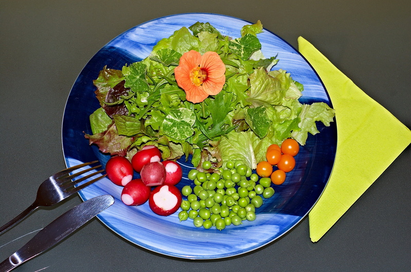 freshness, lunch, salad, gourmet, leaf, still life, lettuce, food, parsley, onion, basil, wood - Material, vegetables, tomato, fruit, cooking, ingredient
