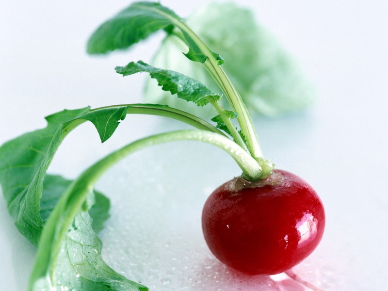 round, fruit, herbs, 720P, no people, studio shot, indoors, ripe, leaf, red, food, wellbeing, plant, cherry, healthy eating, close-up, radishes, drop