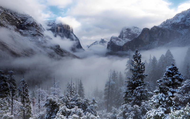 Mountains, Park, California, 1080P, Fog, USA, Winter, Yosemite, grasycale, photo, Snow, National, Trees, forest