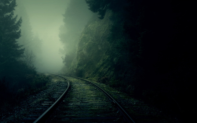 mist, fog, forest, trail, railroad, rails, nature, formation, trees, hd, rail, rock, 2K
