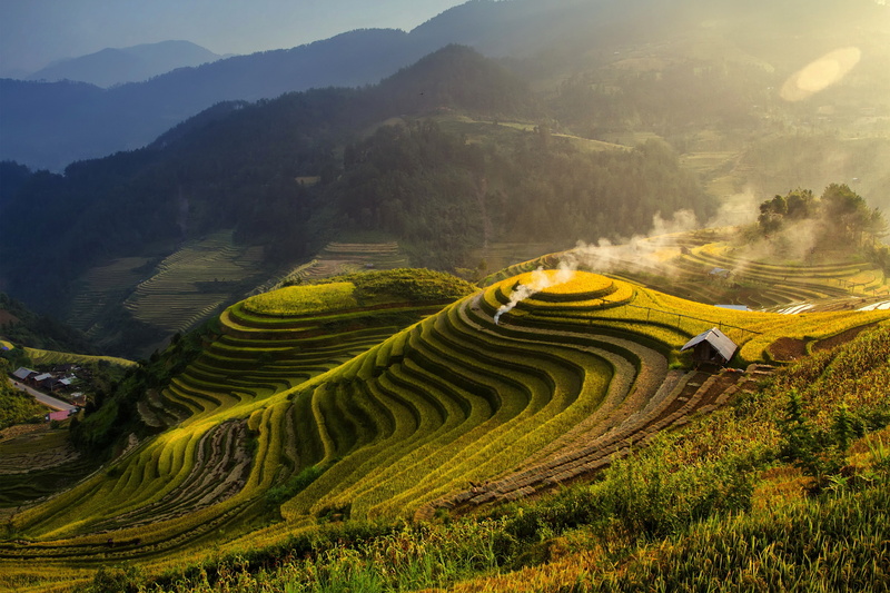 greens, grass, forest, mountains, house, field, 2K, plantation, smoke