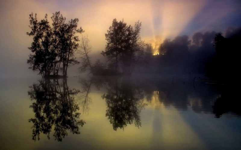 Lake, Trees, Reflection, Fog, Sunrise, Morning, 1080P, Water