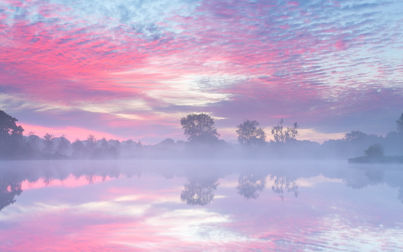 Lake, Netherlands, Autumn, 2K, Fog, Morning