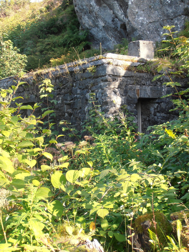 plant part, history, no people, built structure, alesund, architecture, bunker, rock, stone wall, beauty in nature, hidden, german, building exterior, leaf