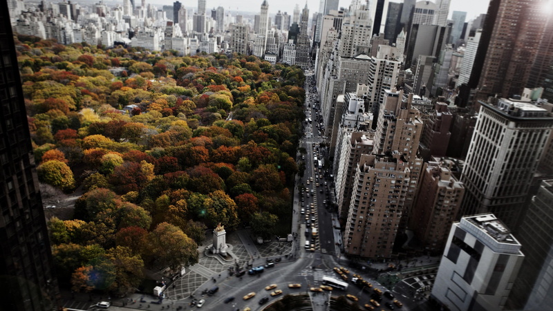 street, cars, 4K, trees, new york, ny, city, ultrahd, sky
