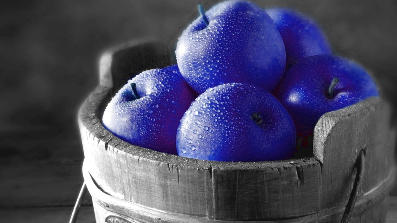 nature, healthy eating, no people, purple, sweet, close-up, indoors, studio shot, blue, focus on foreground, fruits, day, gray, isolated color, freshness