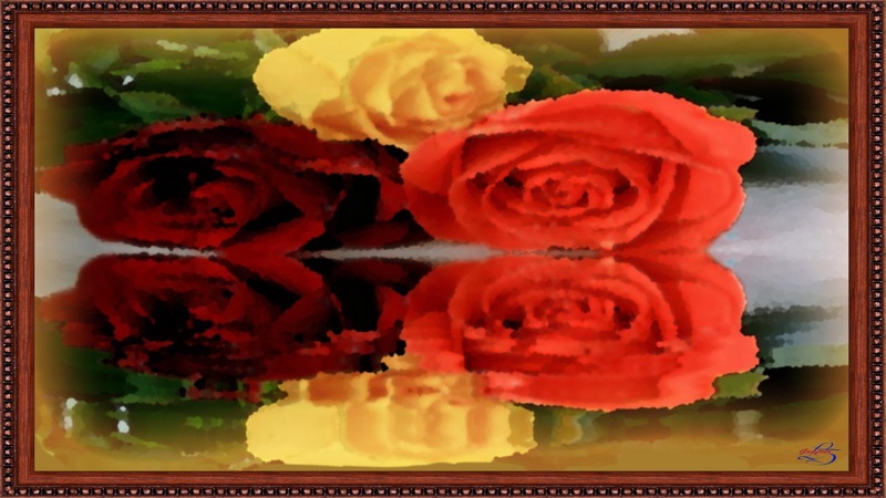 woda, kwiaty, 1080P, kolor, obraz, rose, nature and landscapes