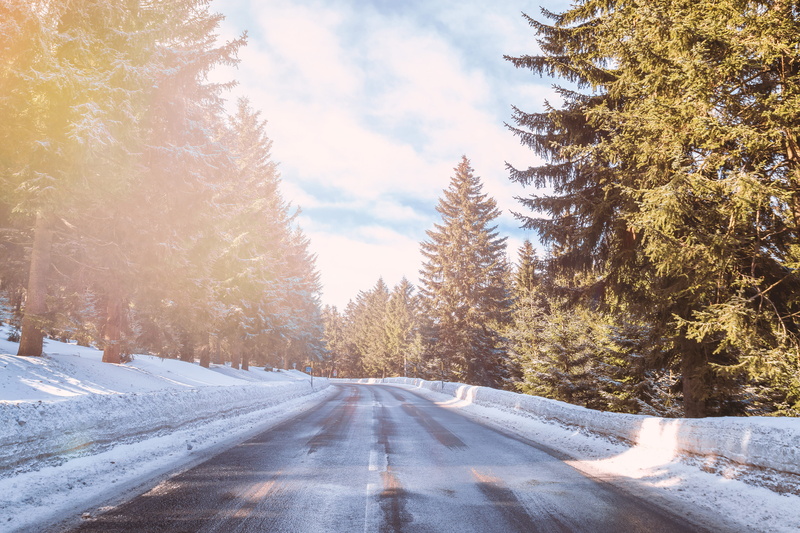 winter, tree, forest, diminishing perspective, weather, snowcapped mountain, road, 4K, beauty in nature, pine tree, plant, growth, the way forward, direction