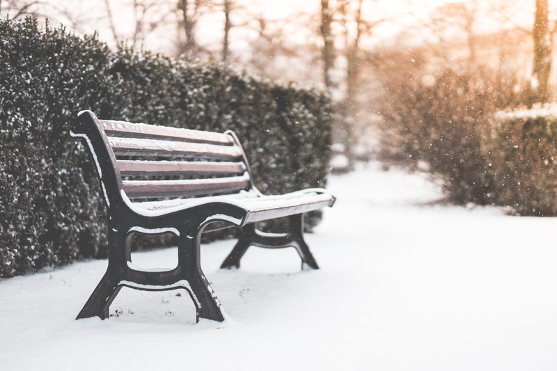 snowflakes, absence, tranquility, focus on foreground, park - Man Made Space, winter, park, december, seat, no people, field, 4K, land, season, nature