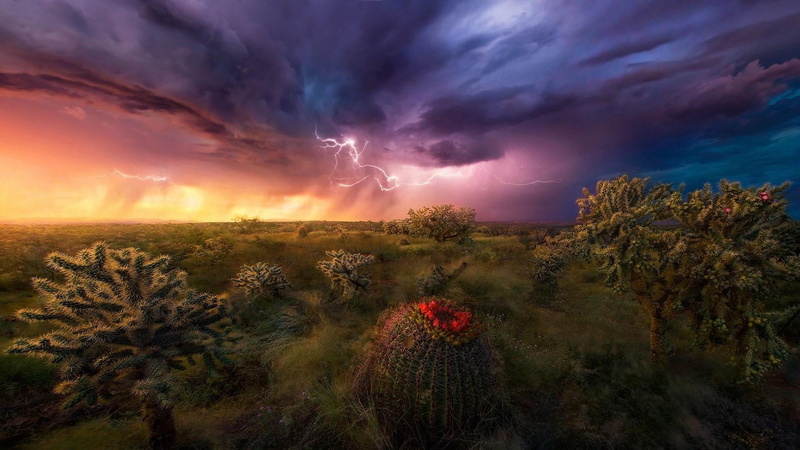tree, no people, desert, horizon, outdoors, 1080P, dramatic sky, cloud - sky, evening, phenomenon, cloud, landscape, sky, cloudscape, lightning strikes