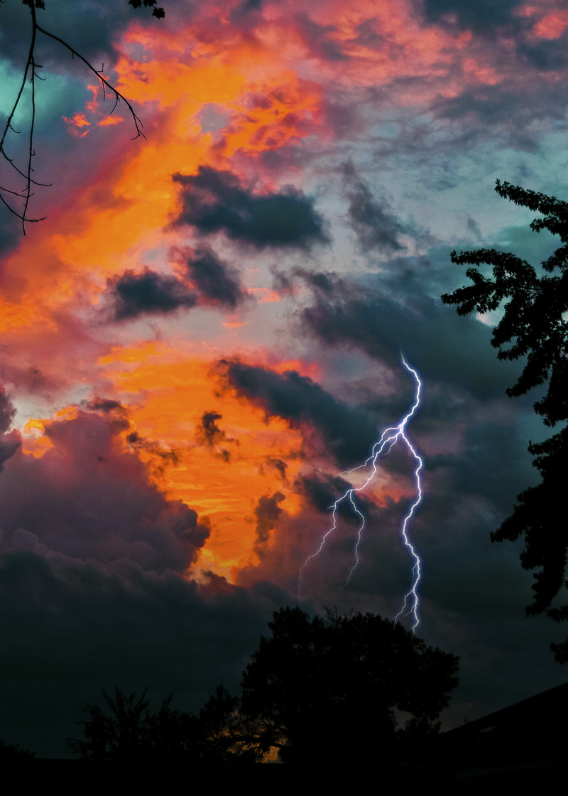no people, storm, outdoors, storm cloud, dawn, sky, cloud - sky, nature, tree, sunrise, ominous, golden, forked lightning, hour, 4K, sunset, plant, power in nature