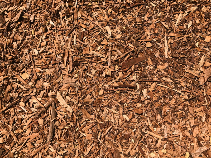 lumber industry, chopped, leaf, field, outdoors, wood - material, united states, forest, land, bark, northwest seattle, texture, plant, high angle view