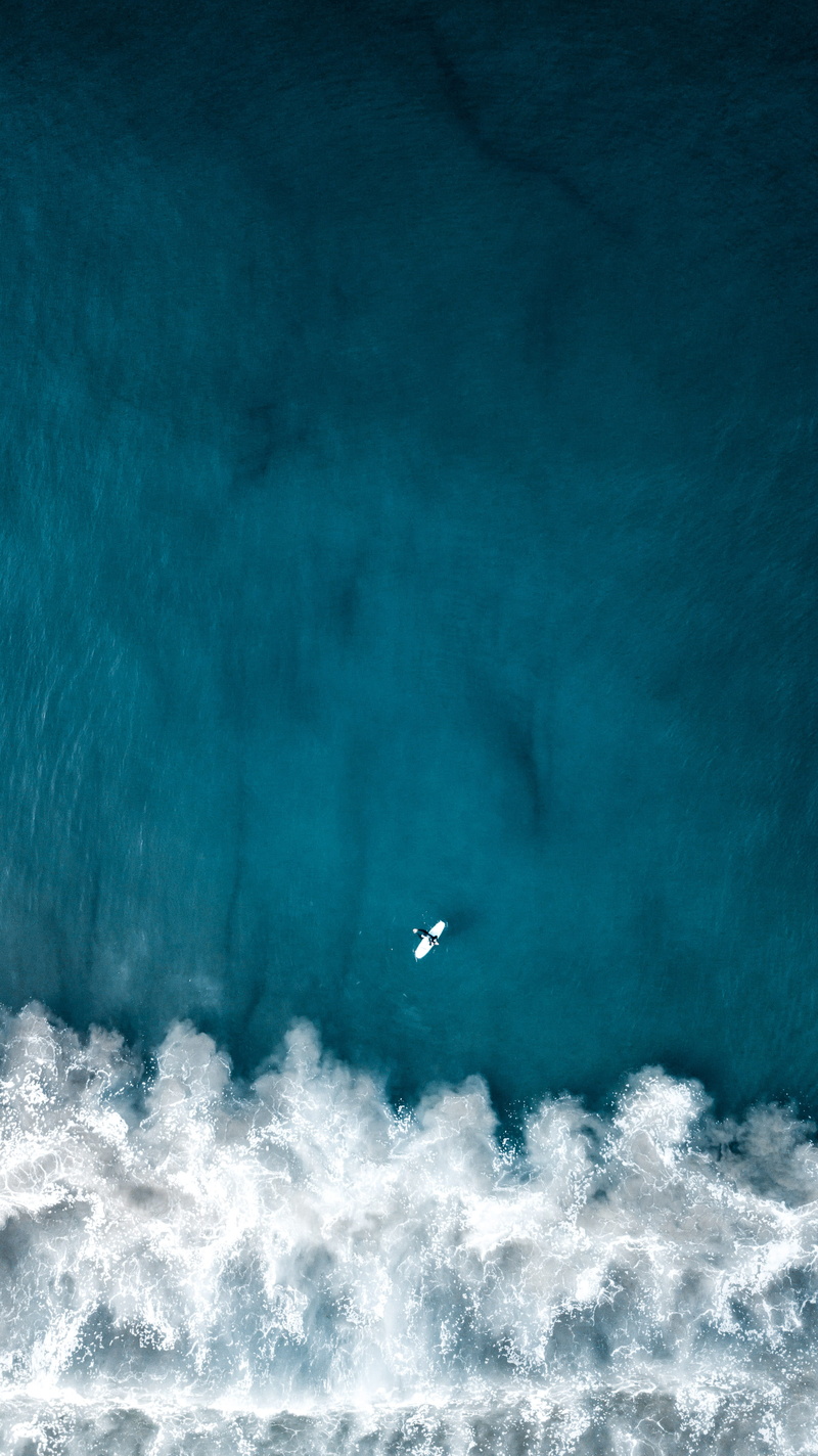 sea waves, wave, drone, waterfront, tsunami, motion, surfing, nature, day, turquoise colored, animal, water, land, flying, scenics - nature, outdoors, adventure