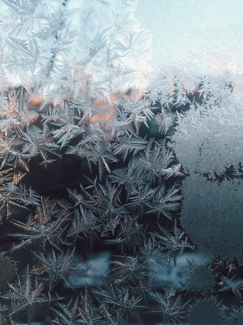 plant, flake, backgrounds, feather, full frame, snowflake, frost, ice, glass, tranquility, icicle, cold temperature, nature, digital composite, water, texture
