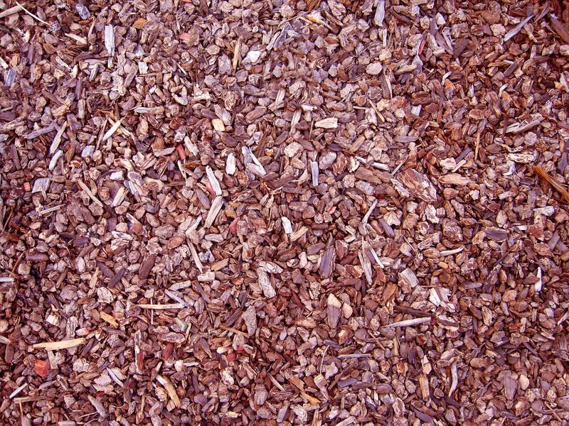 2K, full frame, pattern, food, brown, textured, still life, large group of objects, mulch, no people, close-up, day, abundance, backgrounds, directly above