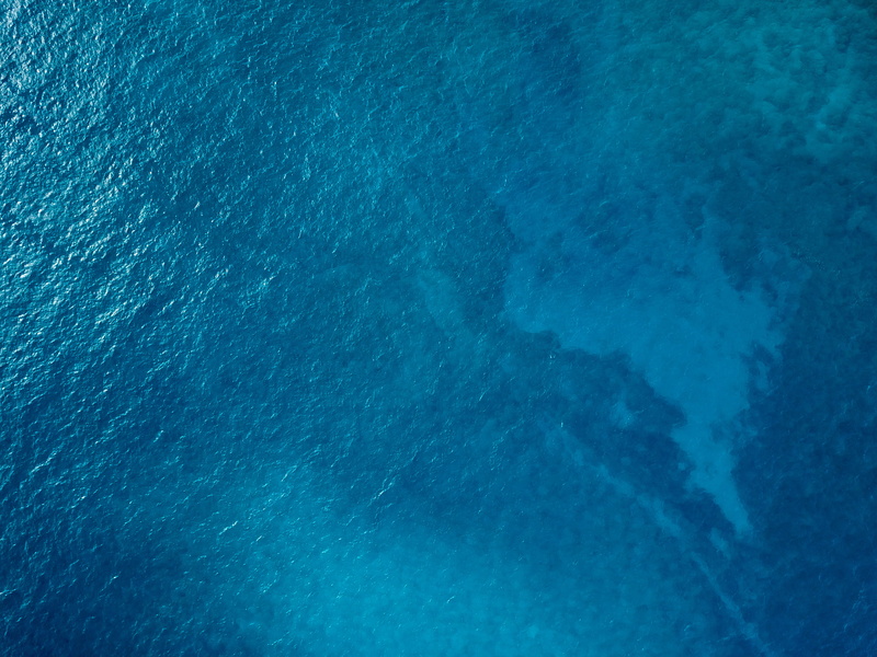 abstract, turquoise colored, full frame, textured, world, pacific ocean, sea life, waves, turqoise, day, high angle view, animals in the wild, four oceans