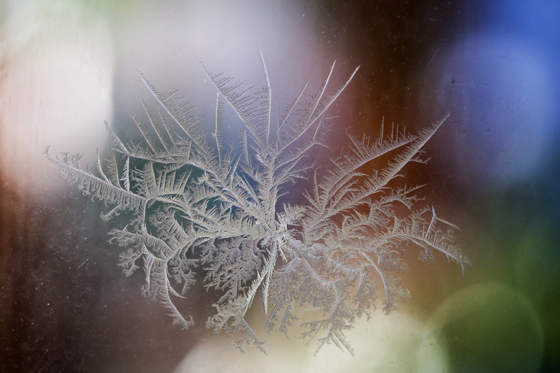 glass, 5K, jack frost, snowflake, water, delicate, extreme close-up, quiet, frost, no people, vulnerability, fragility, plant, night, focus, selective focus