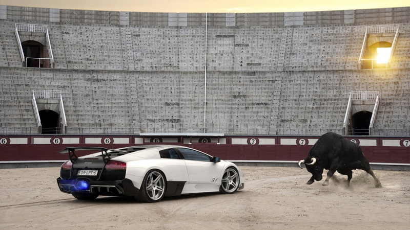 mode of transportation, one animal, no people, animal, white, architecture, land vehicle, car, vertebrate, pets, coupe, black, wall - building feature