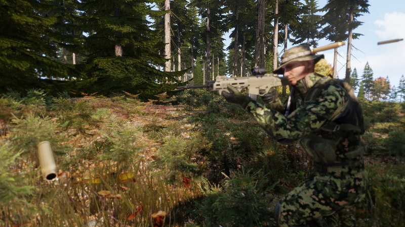 army, clothing, armed forces, weapon, land, army soldier, plant, uniform, outdoors, government, three quarter length, nature, tree, security, 1080P, military