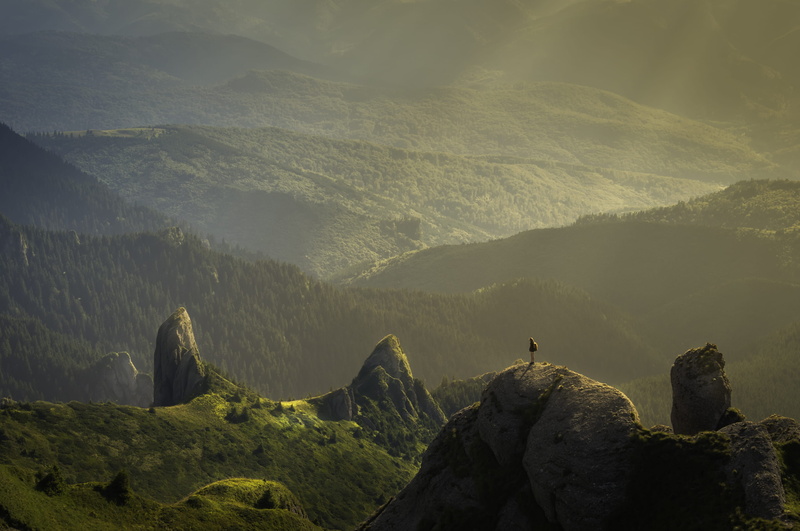 nature, scenics, solid, hill, tree, land, 2K, standing, landscape photography, mountain, top, day, ranges, hiking, photography, rock - Object, beauty in nature