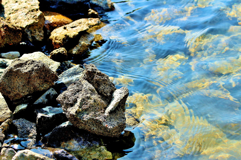 animal wildlife, purity, asia, mountain, gilgit-baltistan, animal themes, day, rock, skardu valley, high angle view, no people, Skardu, textured, hiking