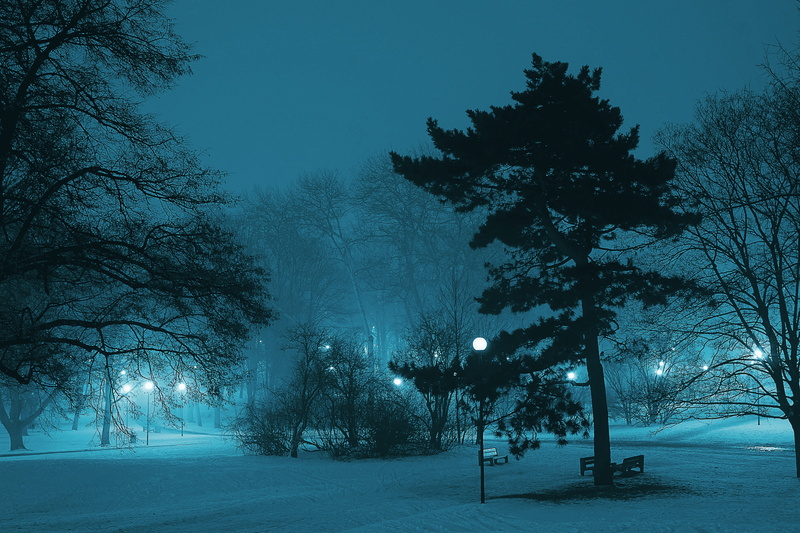 dawn, dark, snow, fog, branch, ice, winter, nature, frozen, atmosphere, season, foggy, 5K, silhouette, cold, pond, night, lamp, landscape, frost, light